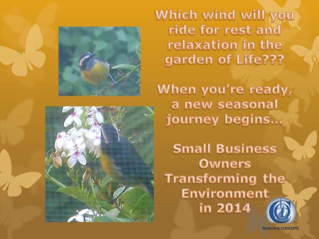 http://toctown.com travel solutions for the small business owner focused on investing and restoring our environment as a lifestyle.