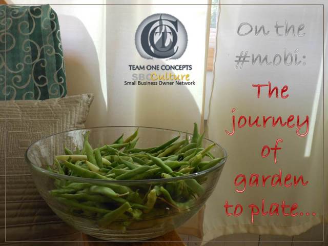 http://toctown.com A handful of conversations can lead to the most amazing demonstrations of a possible SBO lifestyle. Join us as we travel through the gardens of artisan owners. #SBOCulture #TRAVEL #2020Vision #Environment #MOBI 