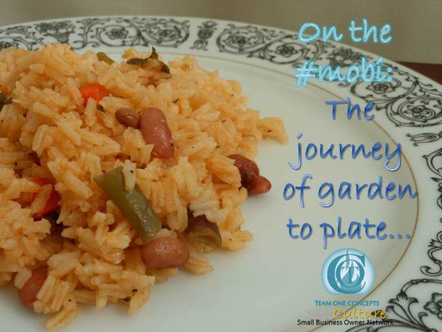 Part Deux: http://toctown.com A handful of conversations can lead to the most amazing demonstrations of a possible SBO lifestyle. Join us as we travel through the gardens of artisan owners. Season 5: SBOs ALL DAY, EVERYDAY #SBOCulture #TRAVEL #2020Vision #Environment #MOBI