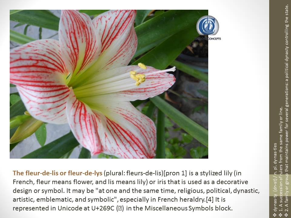 ...creating your paper and digital flash cards from your travel journeys... #homeschool #SBOCulture #kissingLIFE