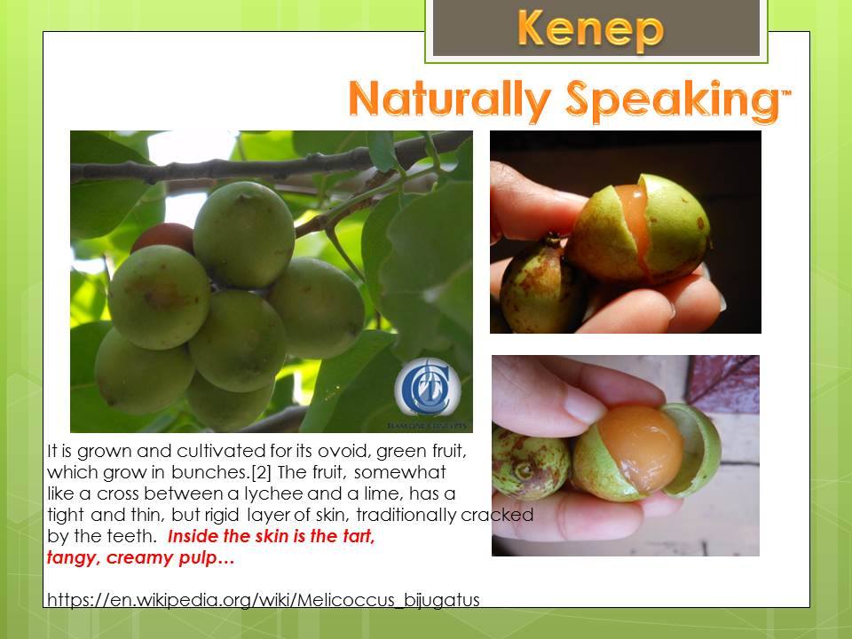 http://toctown.com SBO Saturday Solution Season: naturally speaking through simple health transformations #fatherHOOD #SBOCulture #kissingLIFE