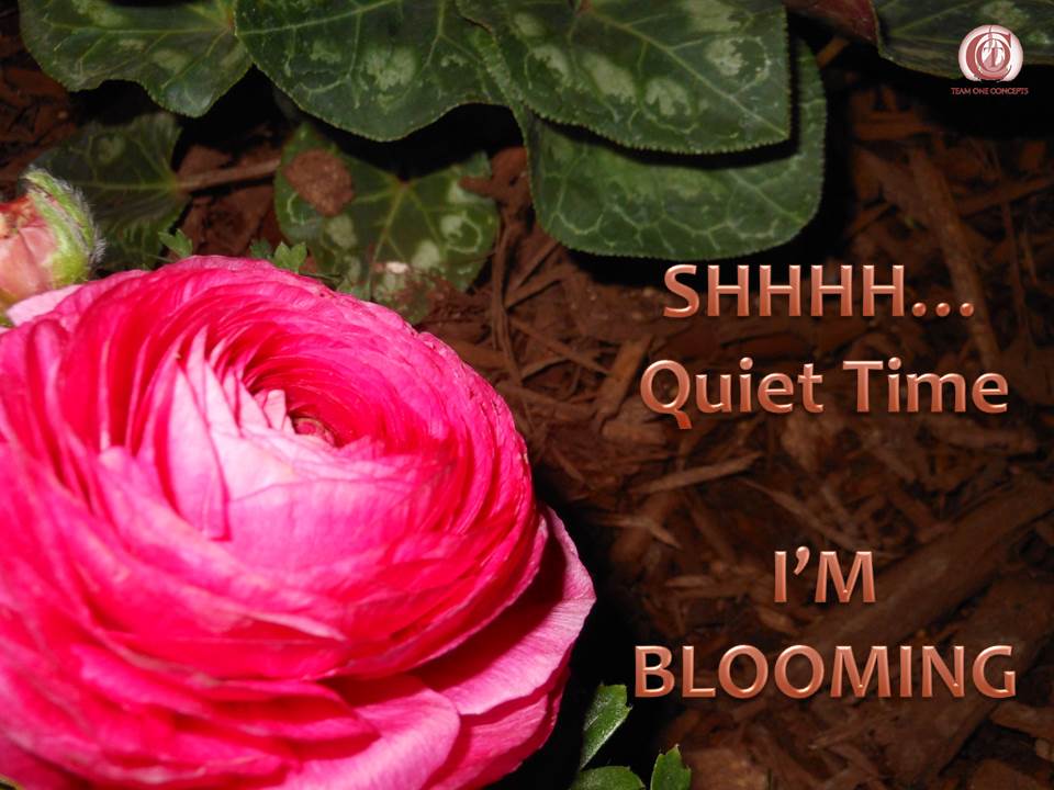 http://toctown.com Be encouraged, even in the silent moments, things are happening. #SBOCulture #kissingLIFE