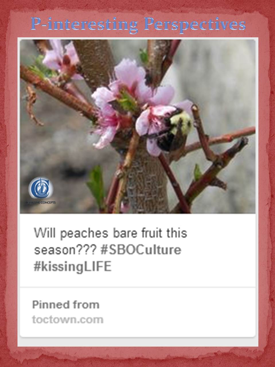 http://toctown.com We are building and re-designing #TOCTOWN We've introduced a new section for our garden enthusiasts. Stop by the 2014 Admin Planner's Challenge Section for P-interesting Perspective. #SBOCulture