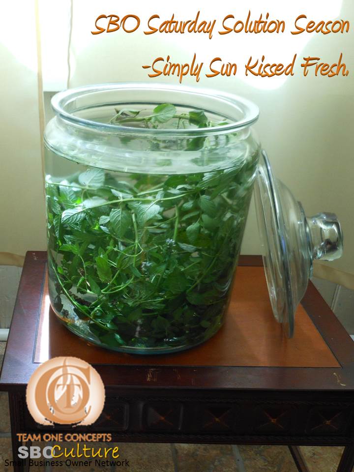 http://toctown.com With our herb garden groceries exploding thanks to this years' over abundant rainfall, I am trying new recipes to keep our clients cool and refreshed. #SBOCulture #TRAVEL #2020Vision #MOBI #Environment