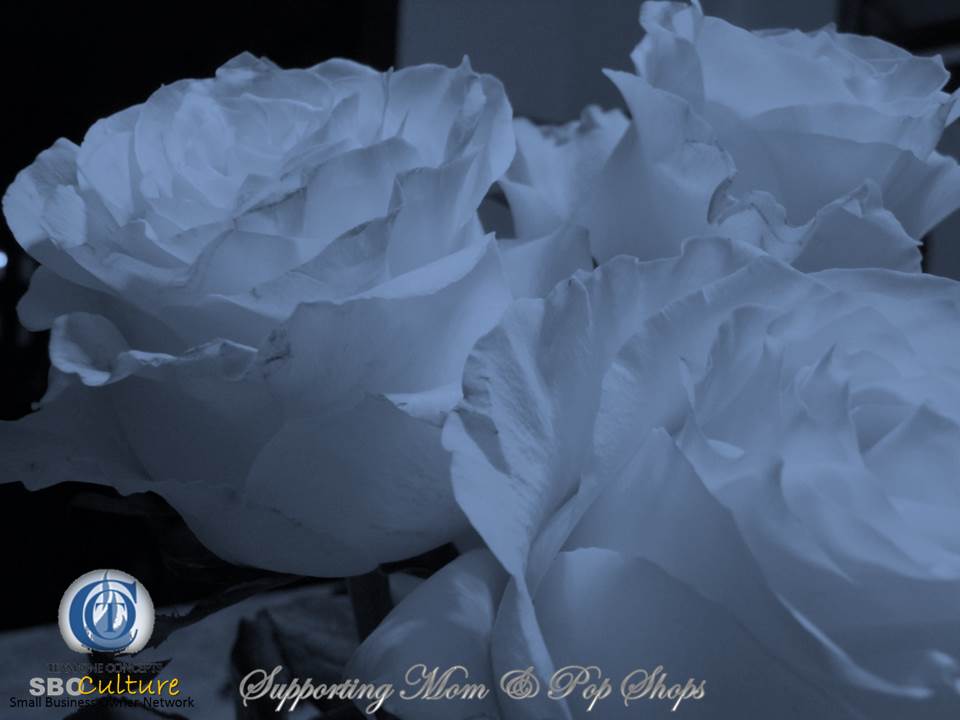 http://toctown.com Morning SBOers, keep your personal economy moving forward. Start fresh with us in Season 5: SBOs ALL DAY, EVERYDAY #SBOCulture #motherHOOD