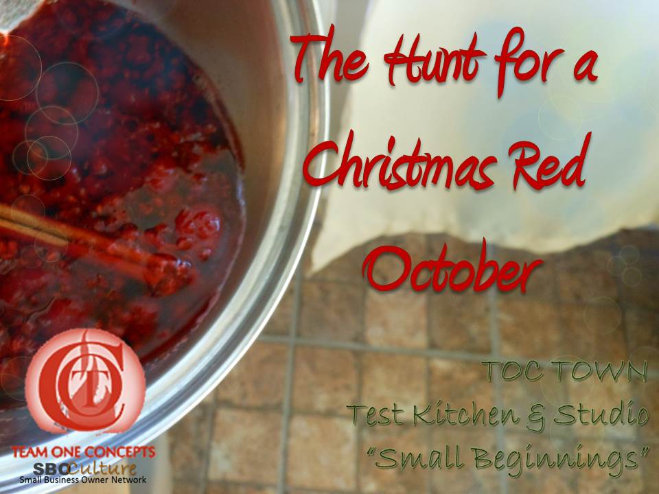 http://toctown.com Harvest Time!!!! It's gift giving season here in the Bloggess Sphere. We absolutely love the inspiration from our local gardens and community producers. Season 5: SBOs ALL DAY, EVERYDAY #SBOCulture #Kingdom #2020Vision #MOBI #TRAVEL #Environment #LIFE #Style