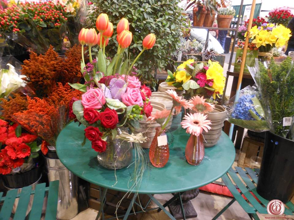 http://toctown.com Settling your business atmosphere will be easier when you see it from a fresh perspective. Go ahead, invite it in. #SBOCulture #kissingLIFE
