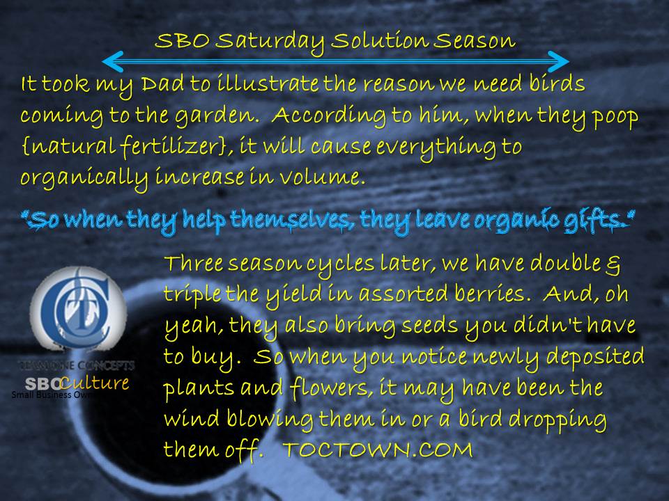 http://toctown.com Saturday Solution Season: learning something new while in the garden. #SBOCulture #TRAVEL #2020Vision